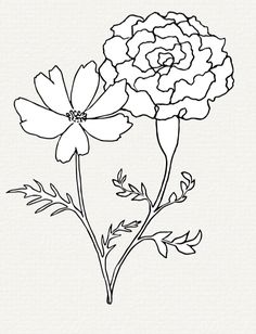 two flowers are shown in black and white, with one flower on the other side