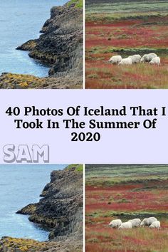 four photos of iceland that i took in the summer of 2020, with text overlay