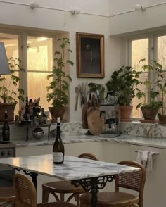 a kitchen filled with lots of potted plants next to a table and chairs in front of a window