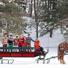 a group of people standing on top of a sleigh being pulled by a horse