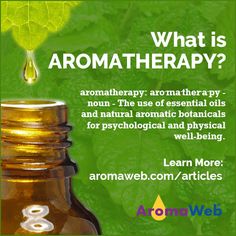 What is Aromatherapy? | AromaWeb Citronella Essential Oil, Ethyl Alcohol, Essential Oils Guide, Essential Oil Blends Recipes, Natural Aromatherapy, Aromatherapy Blends