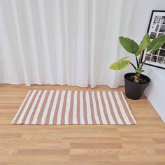 a potted plant sitting on top of a wooden floor next to a striped rug