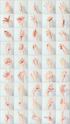 many different hands are shown in multiple rows, all showing the same amount of fingers