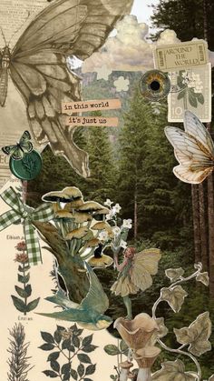 altered collage with butterflies and flowers in the woods, including an image of a butterfly