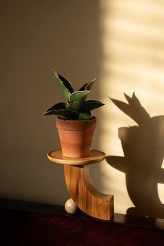 a potted plant sitting on top of a wooden stand next to a shadow cast wall