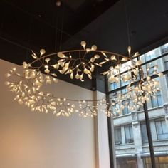 a large chandelier hanging from the ceiling in a room next to a window