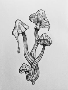 a drawing of three mushrooms growing out of the ground