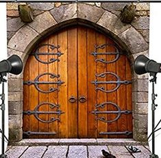 two birds sitting on the ground in front of a wooden door with wrought iron work