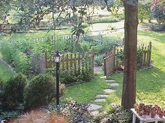 a garden with lots of plants and trees