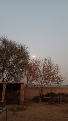 the moon is setting in the sky over some trees and dirt area with no grass