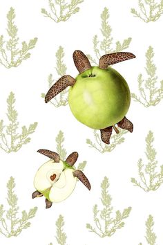 an apple and turtle on a white background with green leaves, pine cones and branches