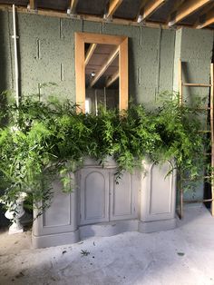 a room that has some plants growing on the wall