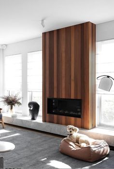 a dog is sitting on a bean bag chair in front of a fireplace with the word instagram above it