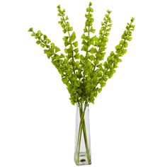 a vase filled with green plants on top of a table