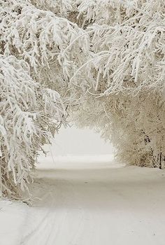 two people walking down a snow covered path