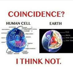 a poster with an image of the inside of a human cell and text that reads, what does it mean to be condence?