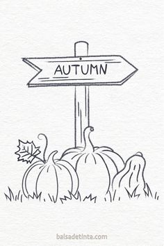 Señal que indica "AUTUMN" con calabazas alrededor. Autumn Drawing Ideas Pencil, Fall Sketches Easy, Fall Drawing Ideas Pencil, Fall Doodles Easy, Autumn Drawing Pencil, Halloween Pencil Drawings, Whiteboard Art Ideas, Fall Doodles Autumn, Fall Whiteboard Art