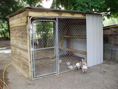 a chicken coop with two chickens in it