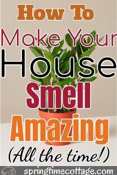 a potted plant with the words how to make your house smell amazing all the time