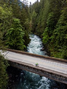 a person riding a bike across a bridge over a river in the middle of a forest