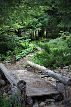 a wooden bridge in the middle of a forest