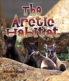 the arctic habitat book cover with three baby animals sitting on top of rocks and looking at the camera