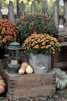 an assortment of flowers and squash are on display in front of a wooden picket fence