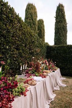 a long table covered with lots of food and fruit sitting in the middle of a field