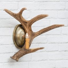 a deer's antler head mounted on a white brick wall