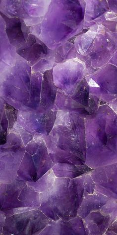 closeup of purple rocks with water droplets on the top and bottom, as seen from above