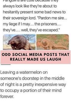 an article about the social media that really made us laugh at people in their lives