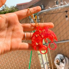 a hand holding a red object in front of a house with a cat behind it