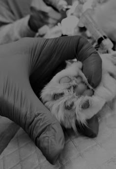 a black and white photo of someone's feet with their hands on the ground