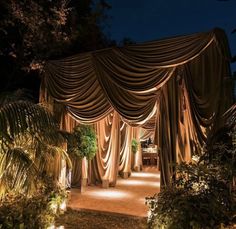 an outdoor area with lots of plants and lights