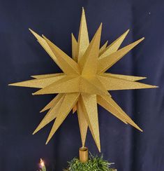 a gold star on top of a potted plant