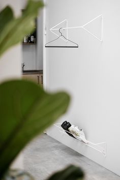 a pair of shoes hanging from the side of a white wall next to a potted plant