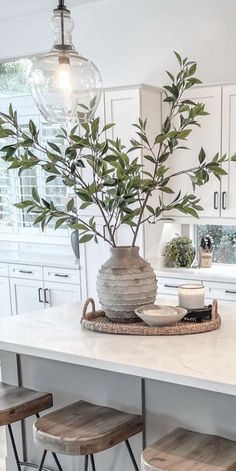 a kitchen island with stools and a potted plant on it