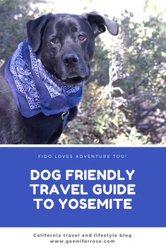 a black dog wearing a blue bandana with the words dog friendly travel guide to yosemite