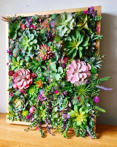 an arrangement of succulents and other plants is displayed on a wooden frame