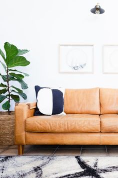 a tan leather couch sitting on top of a rug next to a potted plant