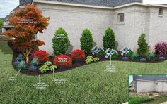 the front yard has many different types of trees and shrubs