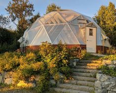 there is a glass house in the middle of some bushes and trees with steps leading up to it