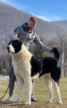 a man standing next to a large black and white dog