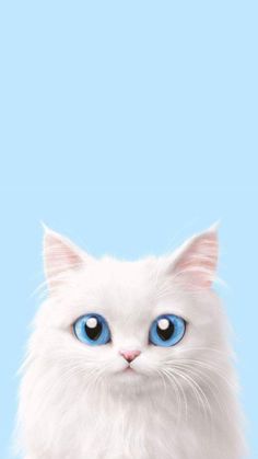 a white cat with blue eyes sitting down