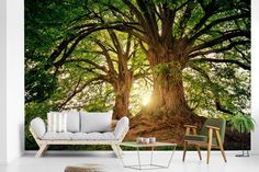 a living room with a couch and large tree in the background wallpaper mural decal