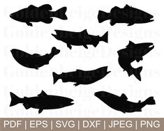 the silhouettes of different fish are shown in black and white, including one that looks like