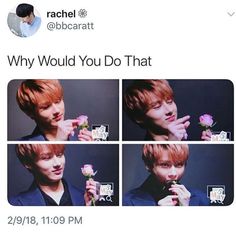 a man holding a flower in front of his face with the caption why would you do that?