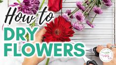 how to dry flowers with the help of a professional florist artist in your home