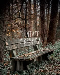 an old wooden bench sitting in the middle of a forest