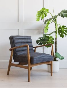 a chair next to a potted plant on the floor